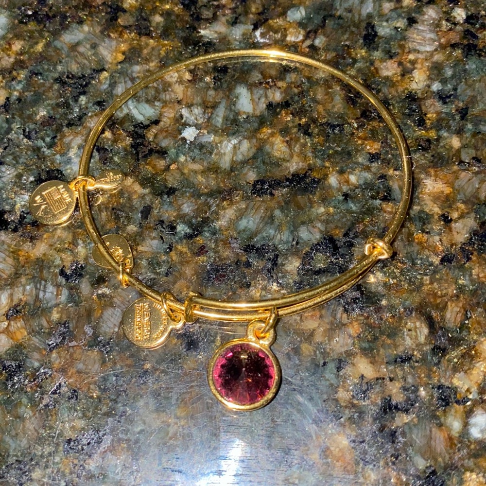 ALEX AND ANI February Birthstone Bangle Bracelet